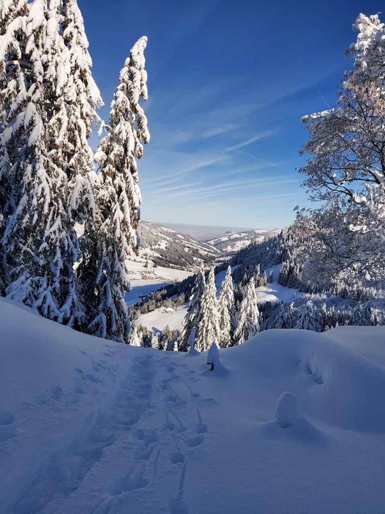02_16. Jan 21_SAC Schneeschuhtour Schwarzsee (104).jpg